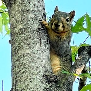Meet your Posher, Carmen